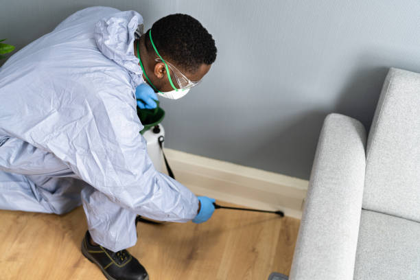 Reliable Six Mile Run, NJ Pest control Solutions